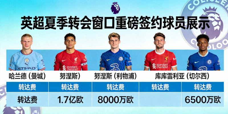 英超夏季转会窗口重磅签约球员展示，包含多名亿元先生